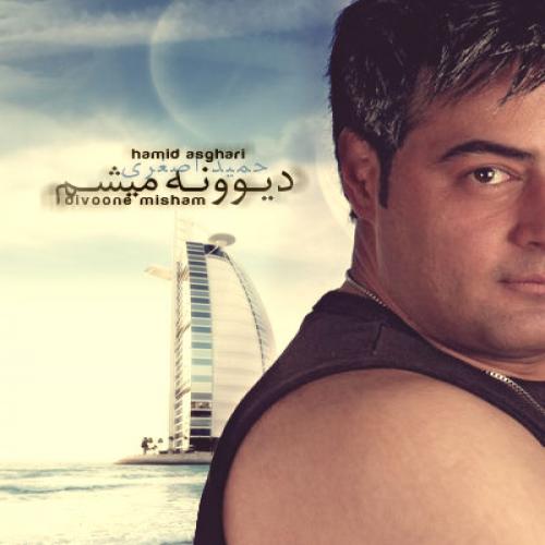 دانلود آهنگ دیوونه میشم